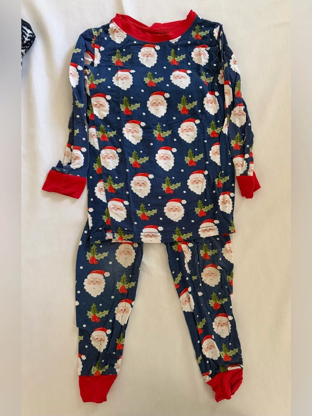 Holiday Christmas Festive Pajama Set 3T
